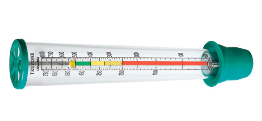 A peak flow meter