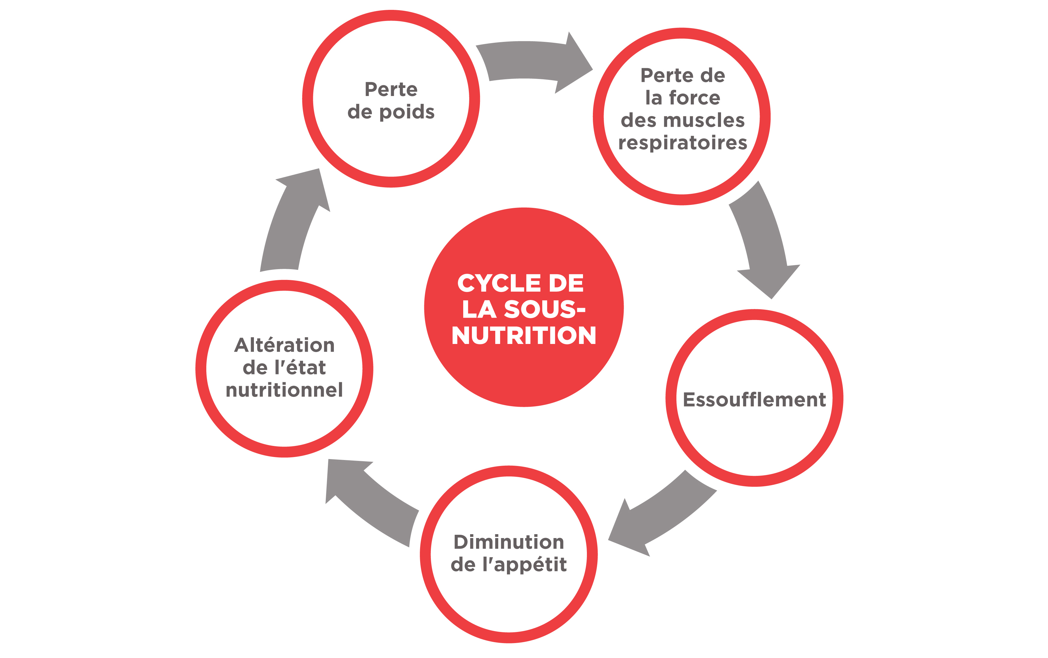 Cycle de la sous-nutrition