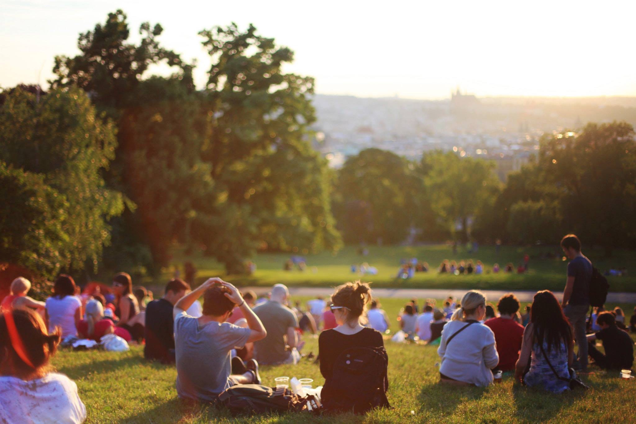 Rear view of many people sitting on ground in park at concert