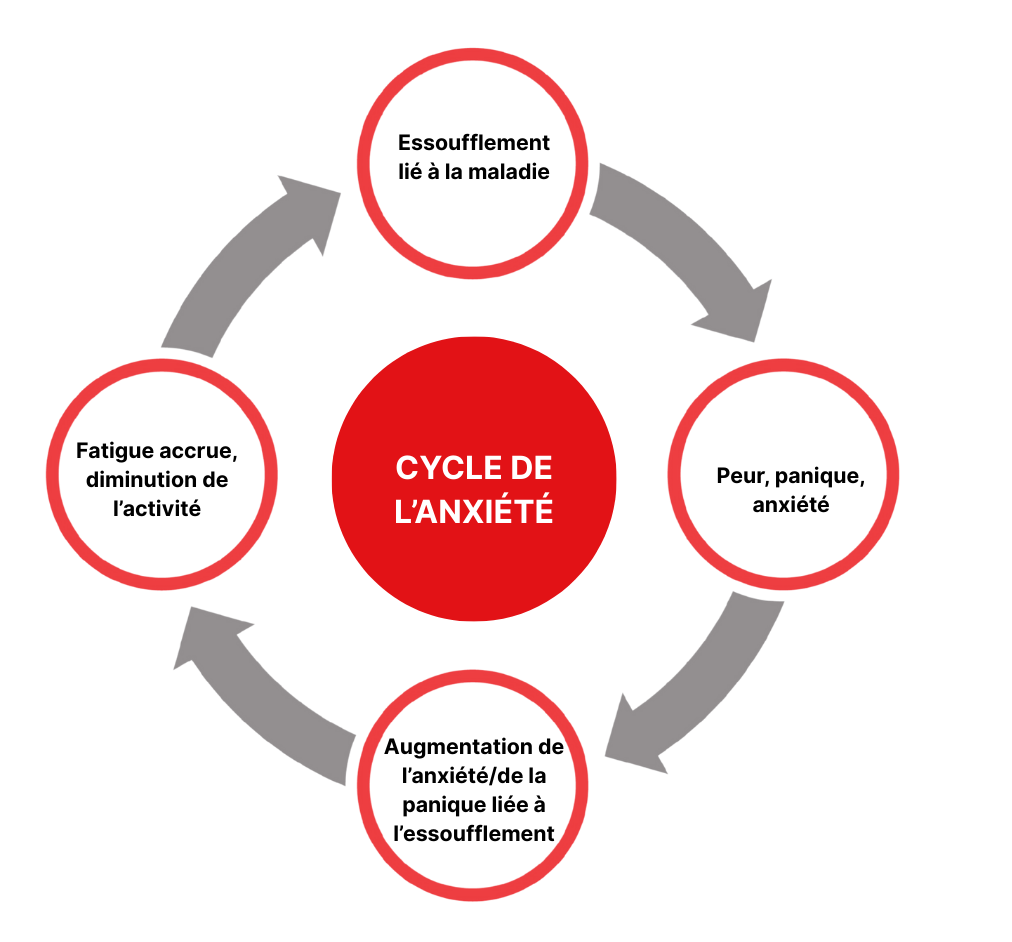4-stage cycle of anxiety