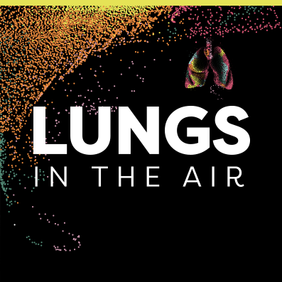Lungs in the air website